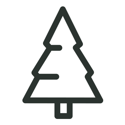Real pine