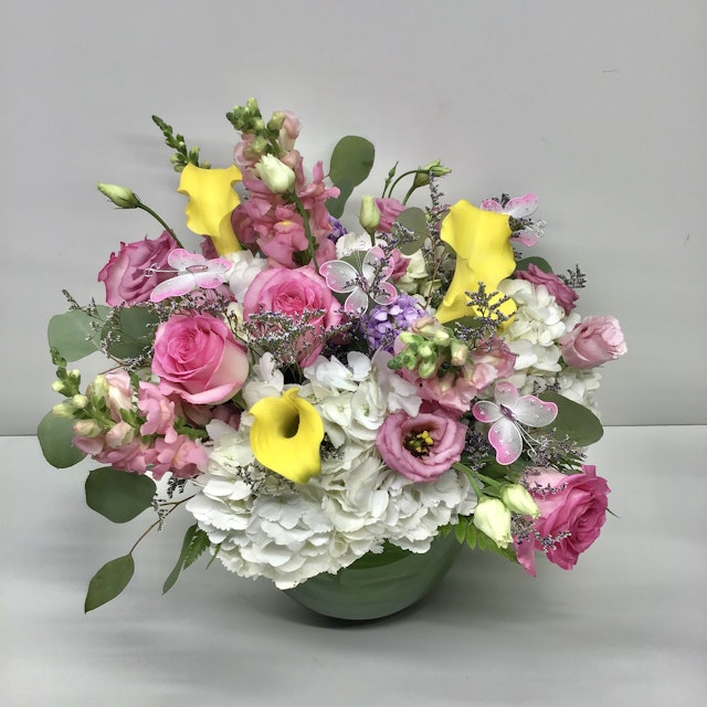 Butterflies in garden