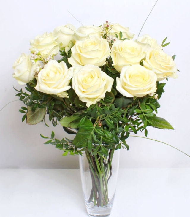 12 White Roses