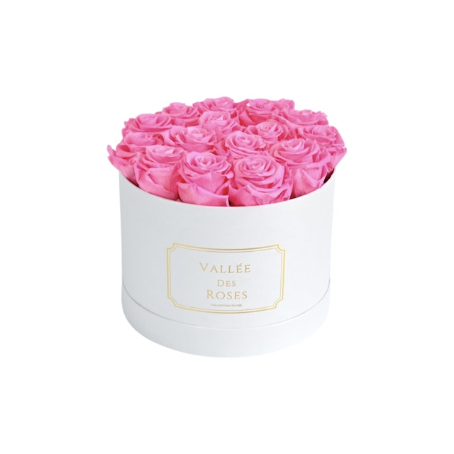 1 Year Lasting Roses