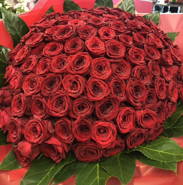 101 Luxury Red Roses