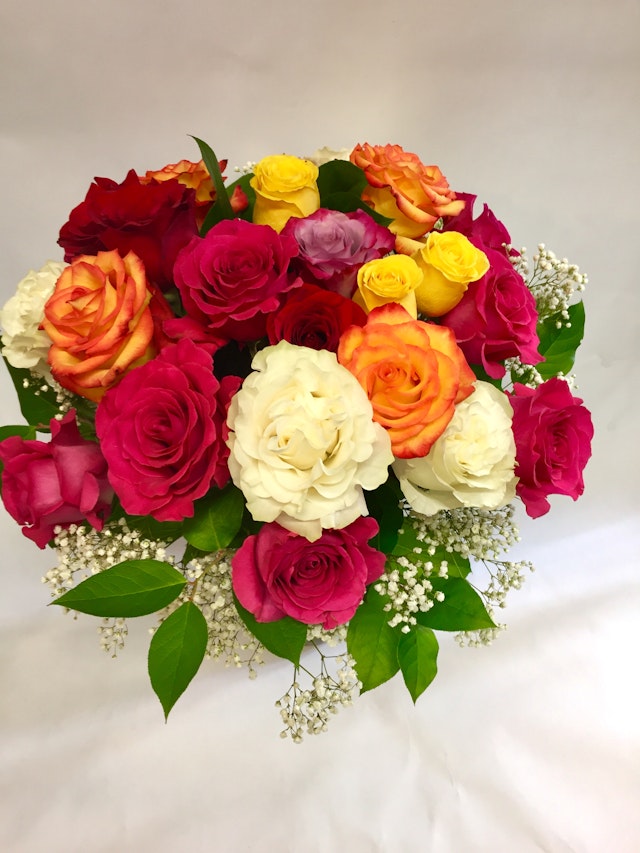 Rainbow Rose Mix