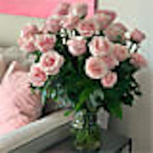 Dozen Light Pink Rose