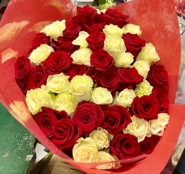 50 red and white rose