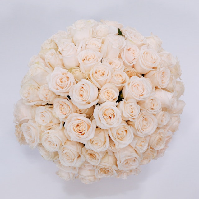 Rose Bar (White)