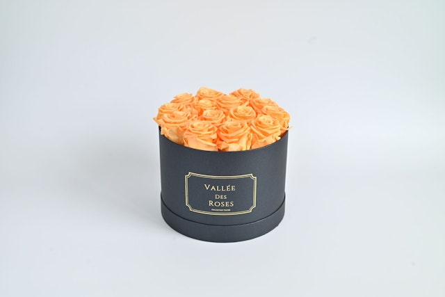 2 YearsPreserved Rose