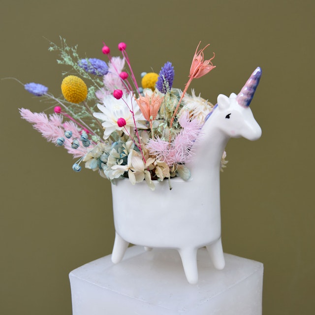 Lil' Rainbow Unicorn