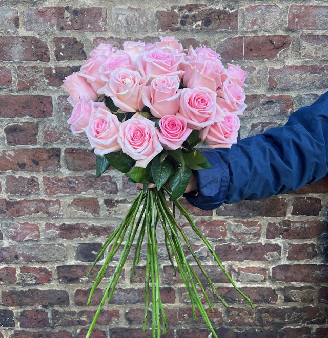 Pink Rose - Two Dozen