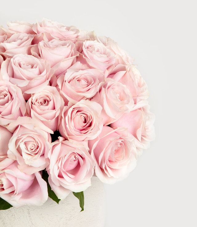 Luxury Pink Roses