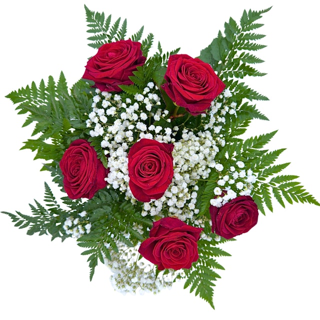 6 Red Naomi Roses BQ