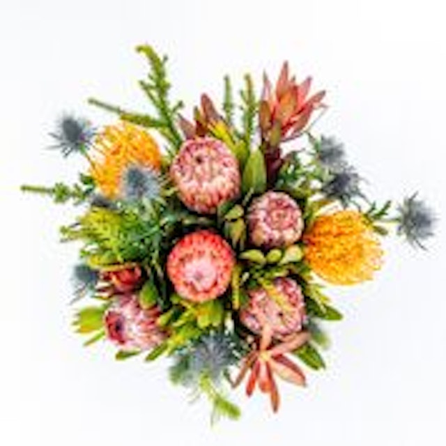 Exotic Protea Bouquet