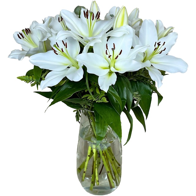 White Oriental Lilies
