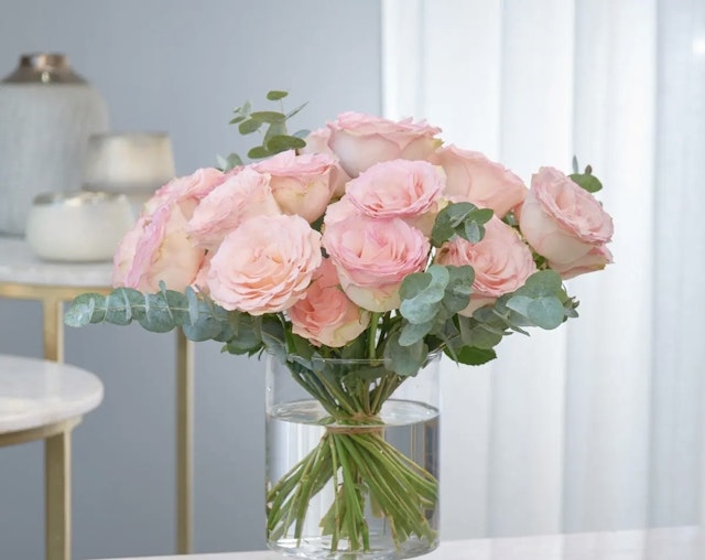 12 Pink roses -----