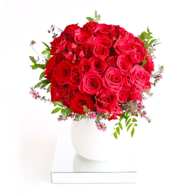 Amore Red Roses