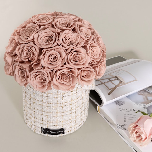 Ashley-Preserved Rose