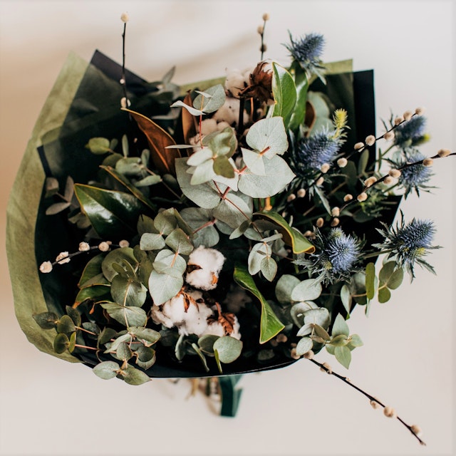 Eucalyptus & Cotton