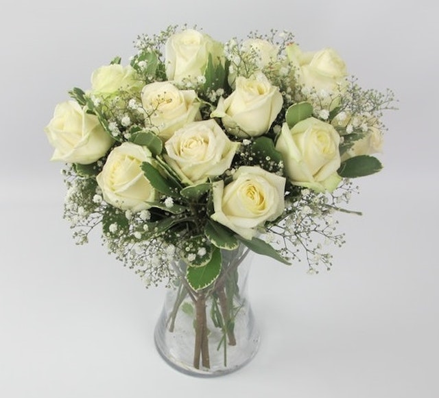 Classic Ivory Roses