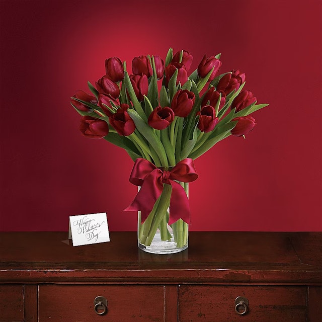 Radiantly Red Tulips