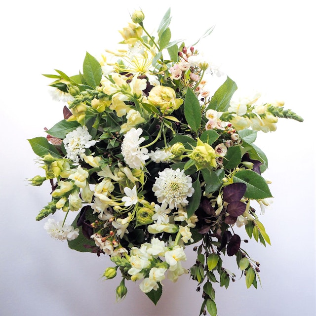 Halo Effect Bouquet