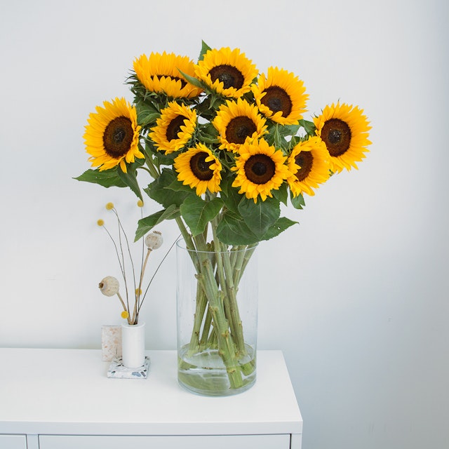 Sunny Sunflowers
