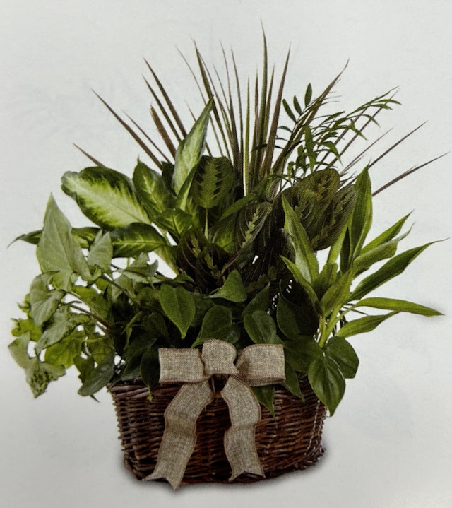 Classic Basket Garden