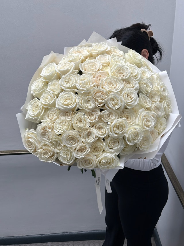 50 white garden roses