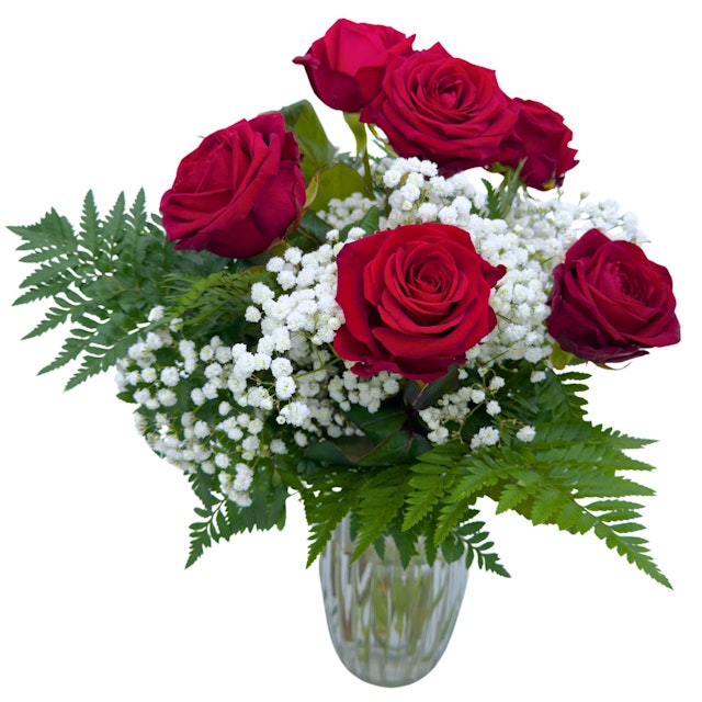 6 Red Naomi Roses BQ