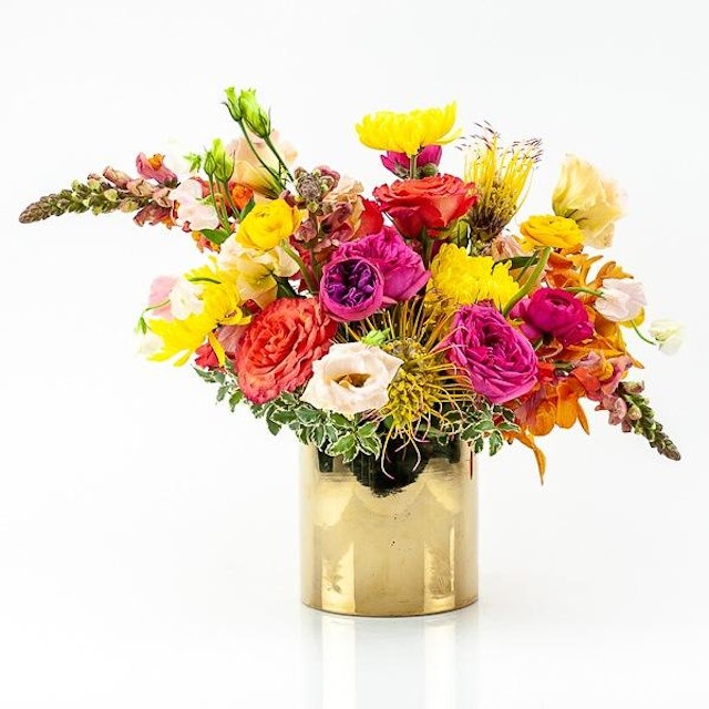 BRIGHT SURPRISE FLORA