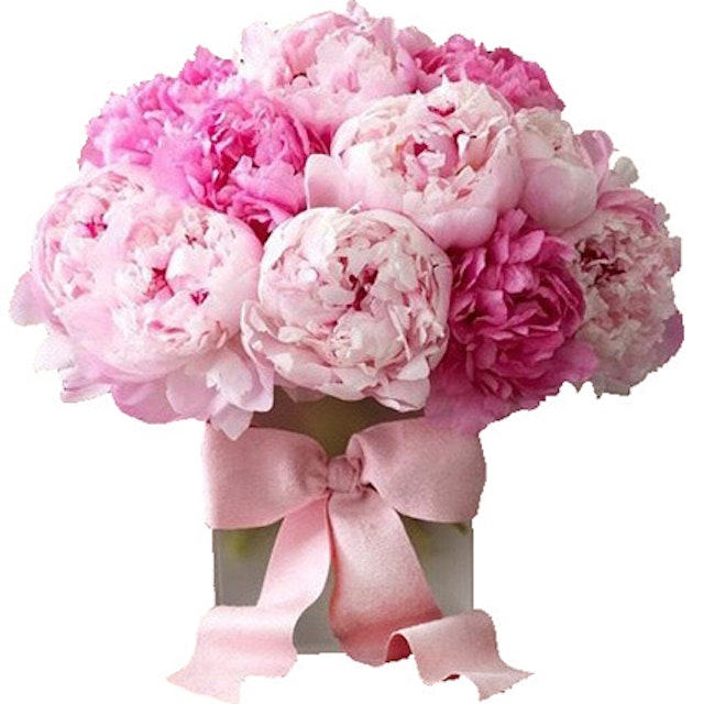 Pink Peonies