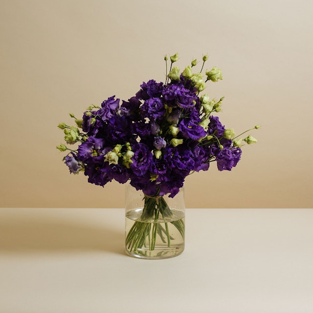 Deep Lisianthus dream