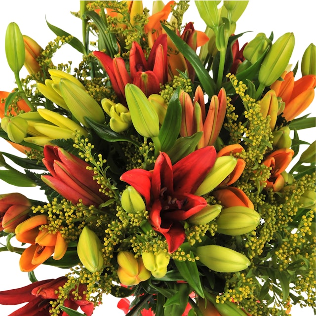 Asiatic Lily Bouquet