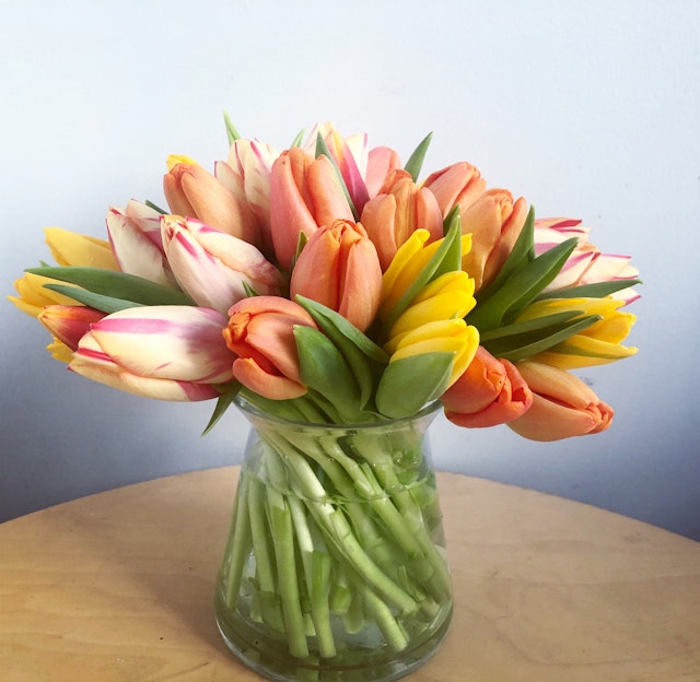 3 Dozen Mixed Tulip