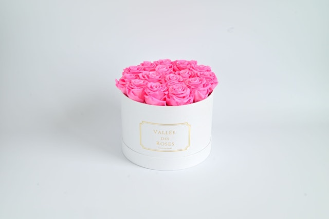 1 Year Lasting Roses