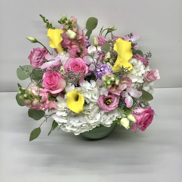 Butterflies in garden