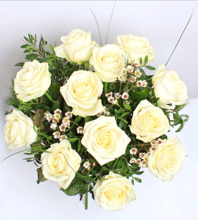 12 White Roses
