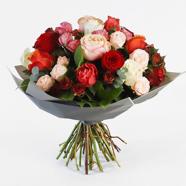 Mix Of Roses