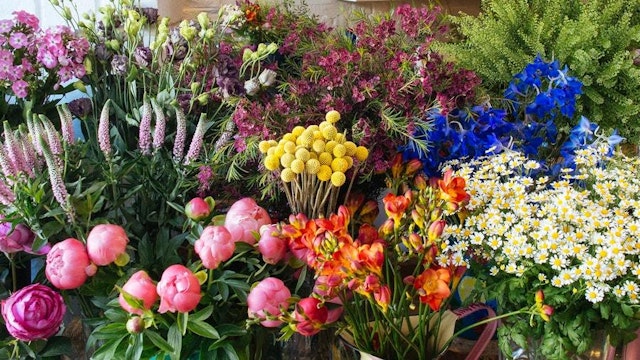 Flowers of the Valley