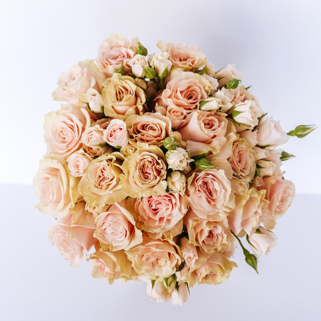 Thinking of You Roses