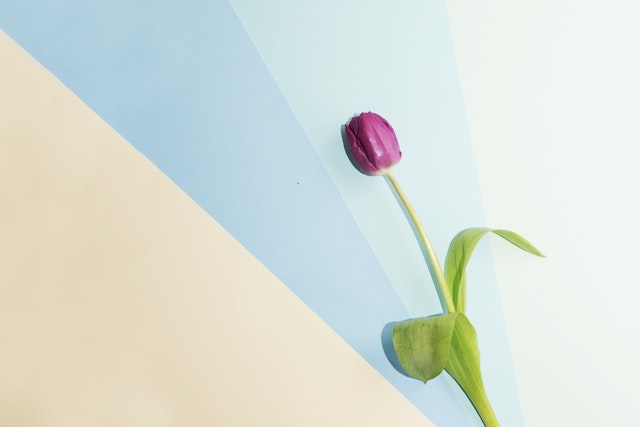 What flowers for Mother's Day