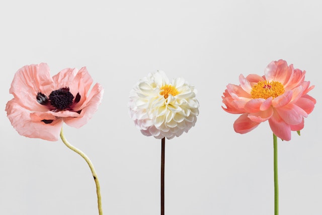 Elizabeth McKenna Flowers