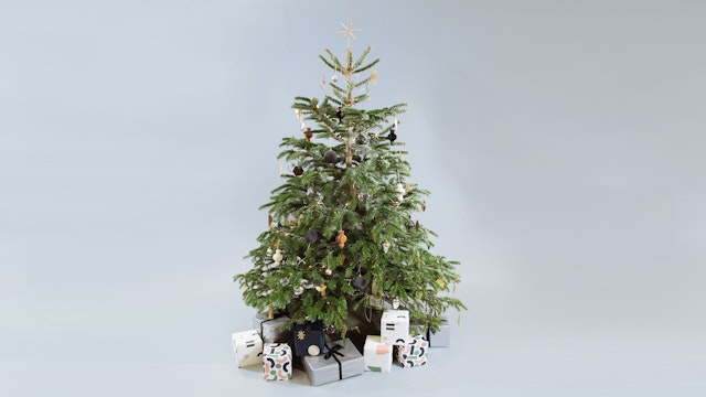 How to decorate your Christmas tree