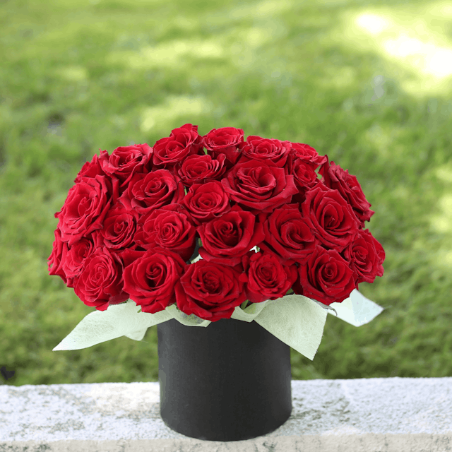 25 red roses