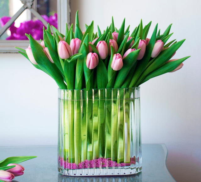 Lovely Tulips