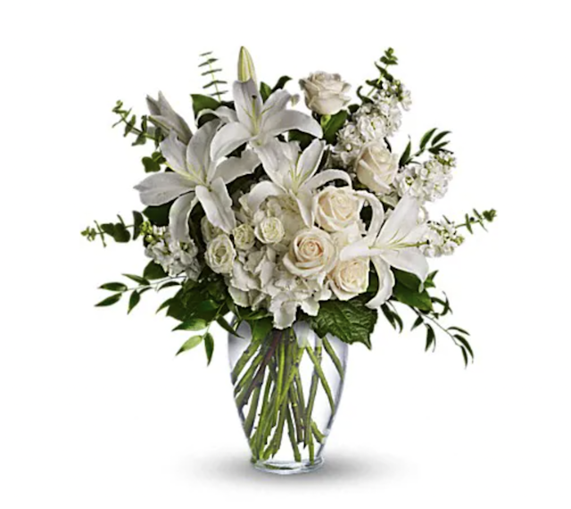 Dreams from the Heart